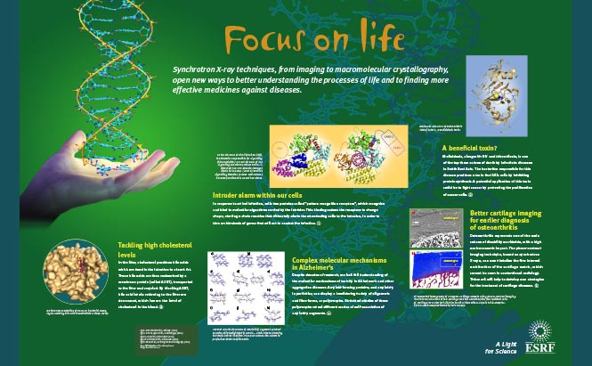 ESRF - panneaux de présentation - Life Science